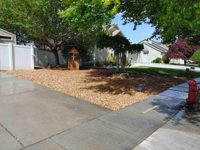 Professional Backyard Renovation Service