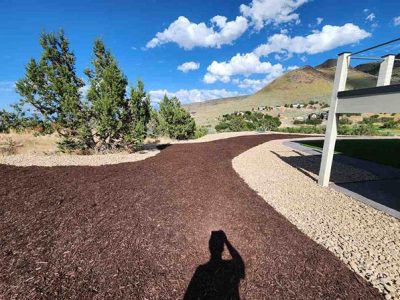 Professional Backyard Renovations