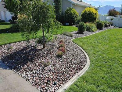 Quality Backyard Renovations