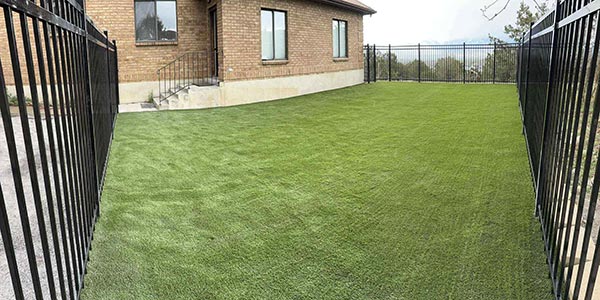 Artificial Turf