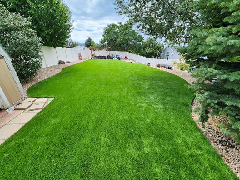 Backyard Transformation 