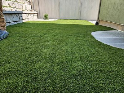 Backyard Transformation Project