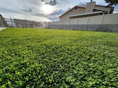 Custom Backyard Renovation Project 1