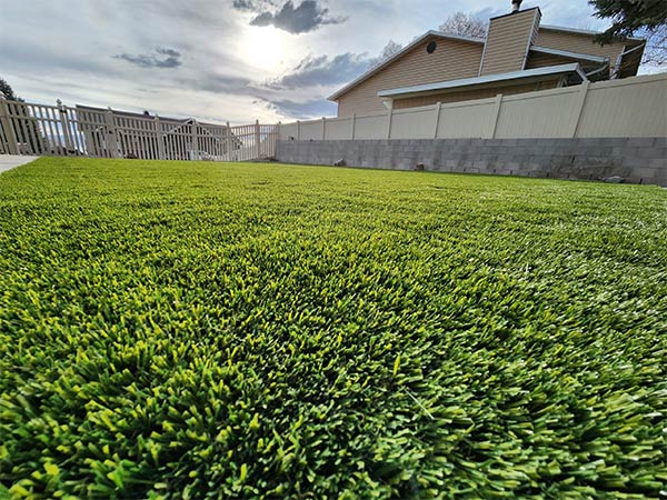 Custom Backyard Renovation Project