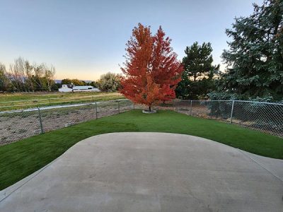 Custom Backyard Renovation Service