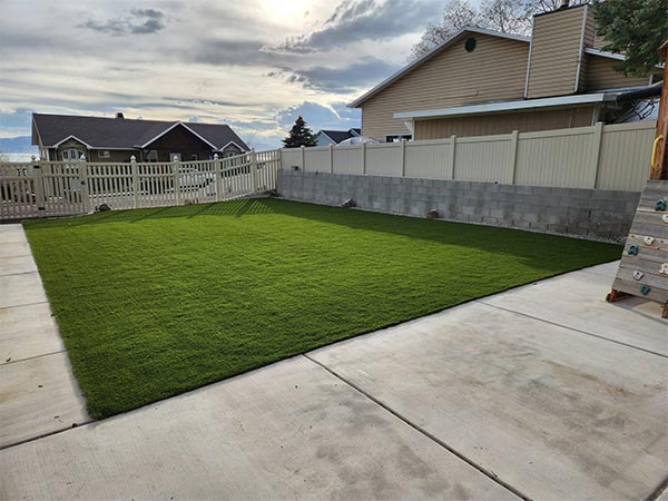 Custom Backyard Renovation