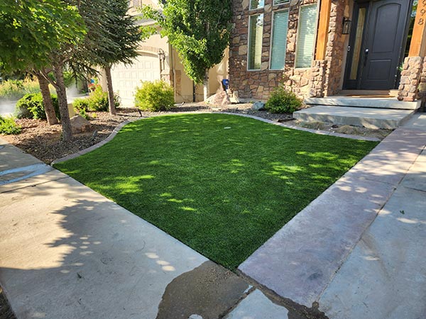 Home Backyard Renovation Project