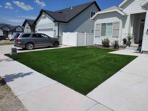 Pet Friendly Artificial Grass Installation Project